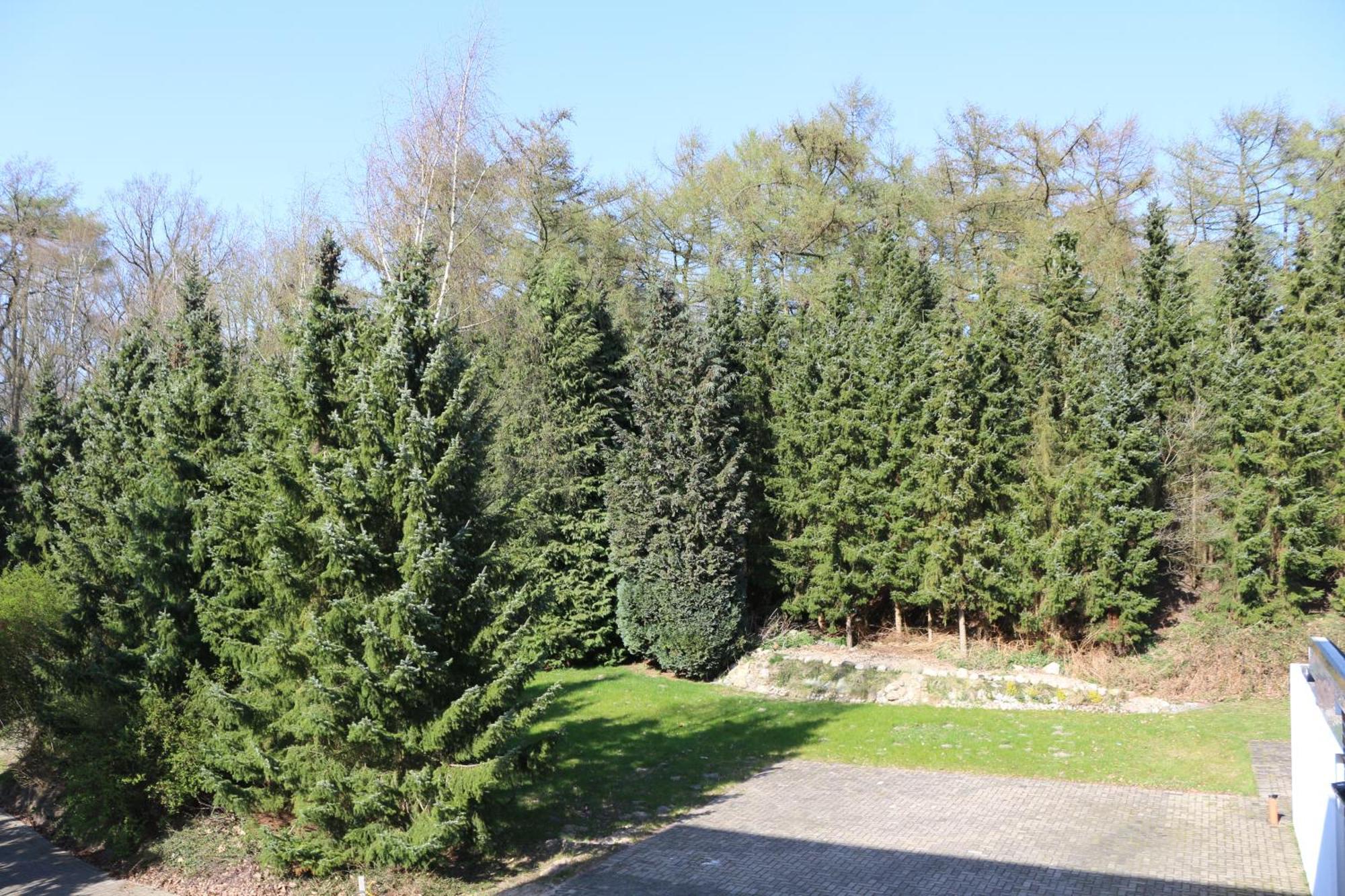 Graf Balduin Esterwegen